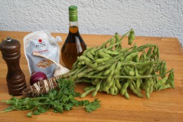 Ingredients for the recipe on a table. A bundle of Edamame, a bottle of olive oil, Miso, fresh coriader, a pepper mill