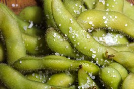 Cooked and salted Edamame - ready to eat.